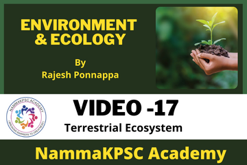 Video 17- Terrestrial Ecosystem